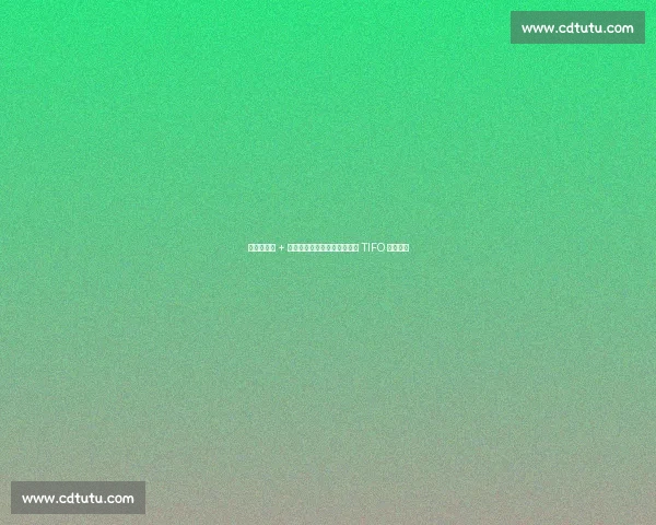 三星堆面具 + 球迷拼图！成都蓉城亚冠首秀 TIFO 震撼来袭